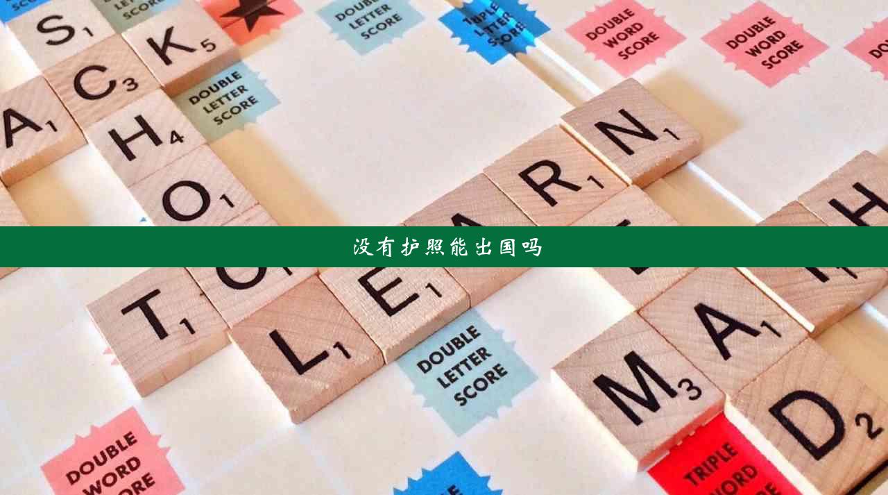 没有护照能出国吗