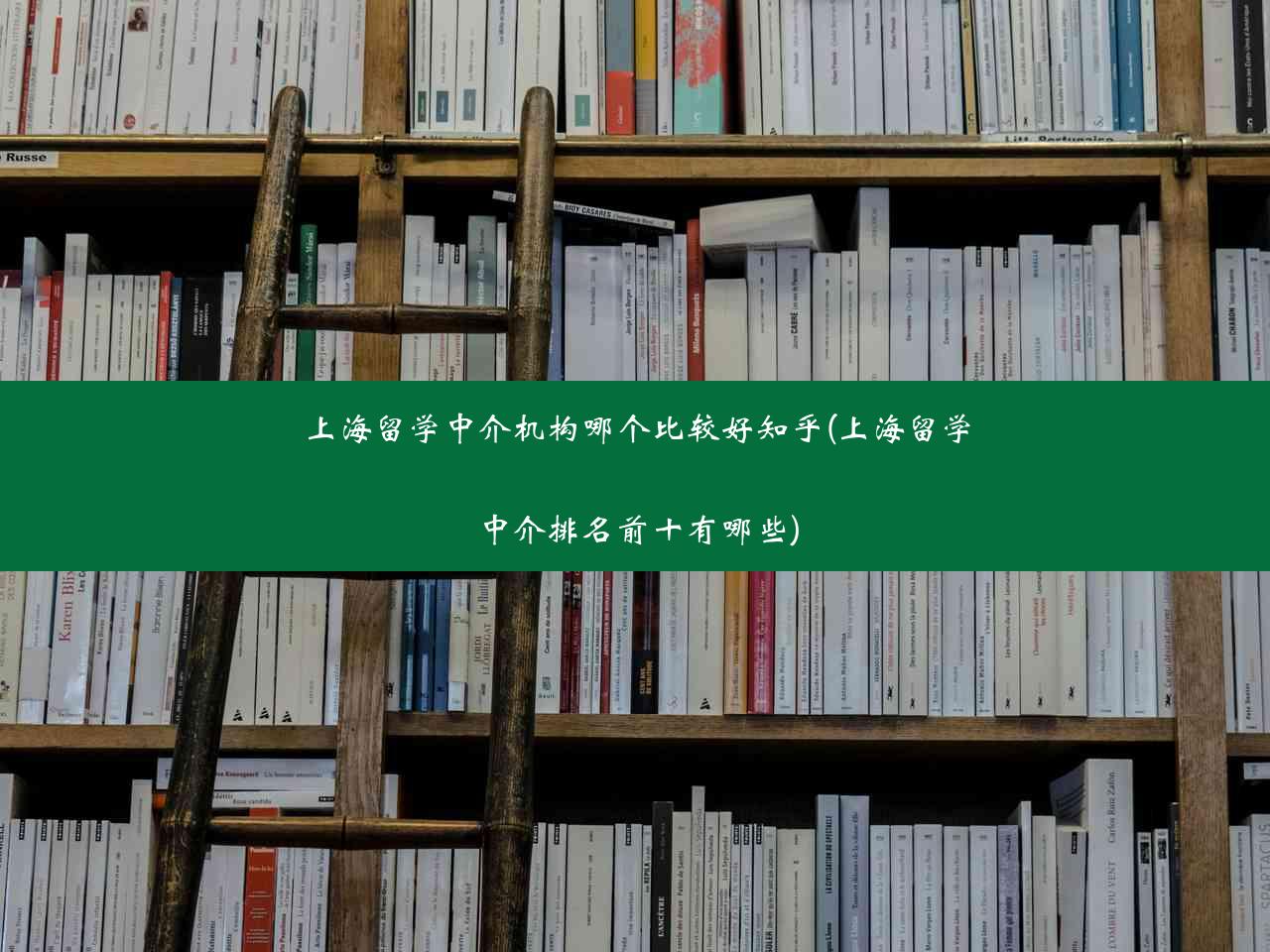 上海留学中介机构哪个比较好知乎(上海留学中介排名前十有哪些)