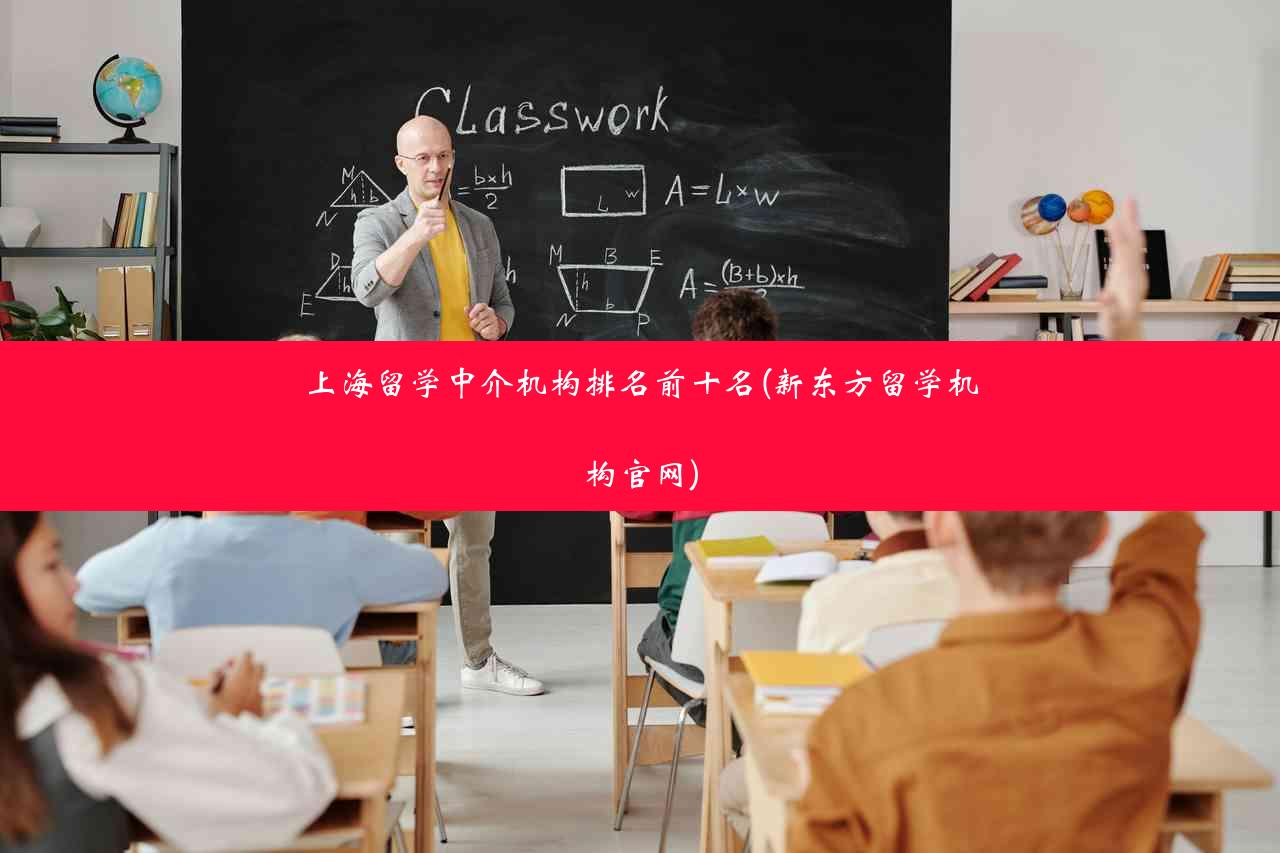 上海留学中介机构排名前十名(新东方留学机构官网)