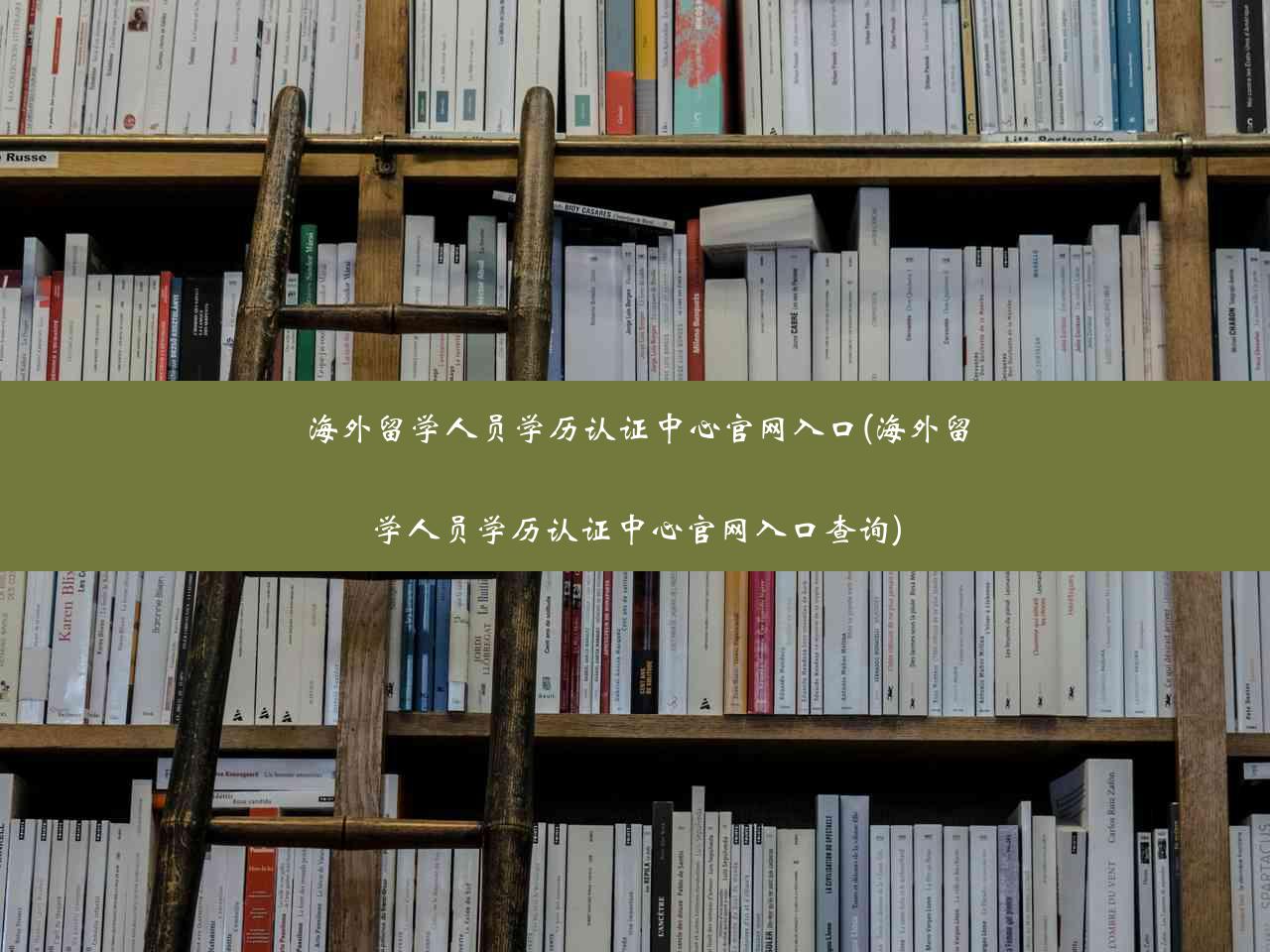 海外留学人员学历认证中心官网入口(海外留学人员学历认证中心官网入口查询)