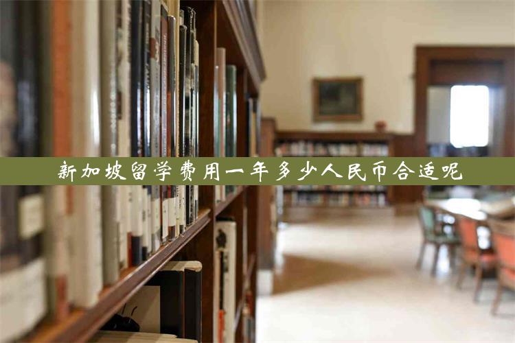 新加坡留学费用一年多少人民币合适呢