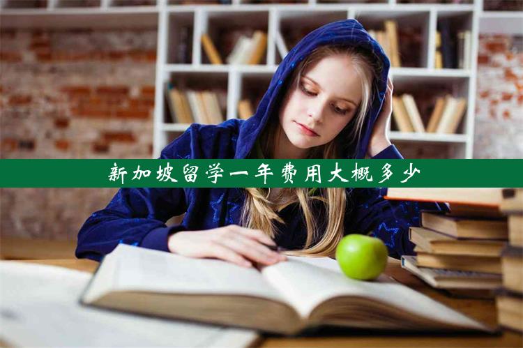 新加坡留学一年费用大概多少