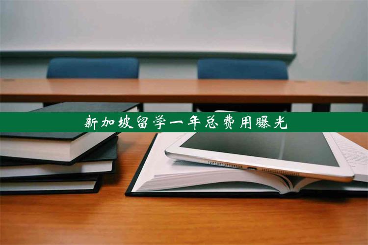 新加坡留学一年总费用曝光