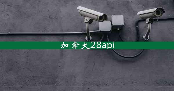 加拿大28api