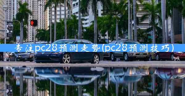 专注pc28预测走势(pc28预测技巧)