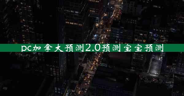 pc加拿大预测2.0预测宝宝预测