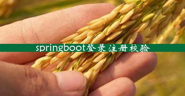 springboot登录注册校验