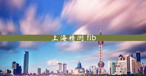 上海精测 fib