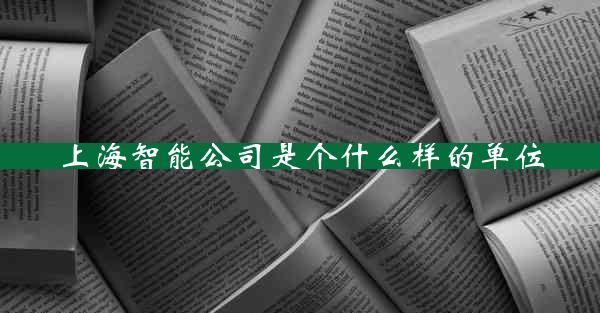 上海智能公司是个什么样的单位