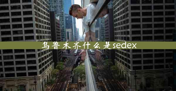 乌鲁木齐什么是sedex