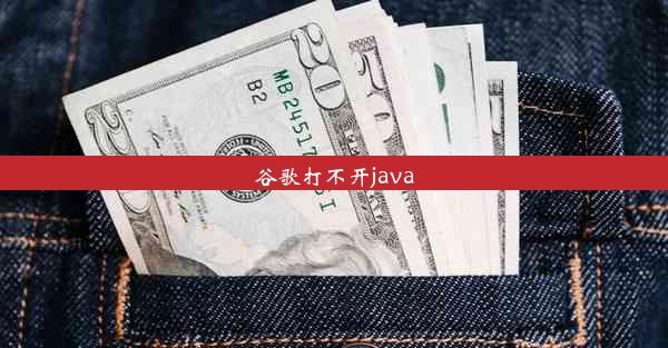 谷歌打不开java