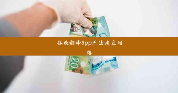 谷歌翻译app无法建立网络