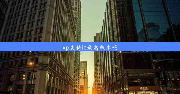 xp支持ie最高版本吗