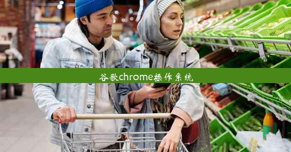 谷歌chrome操作系统