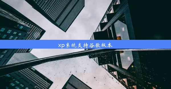 xp系统支持谷歌版本