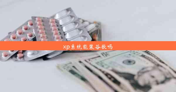 xp系统能装谷歌吗