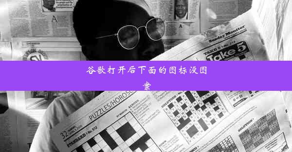 谷歌打开后下面的图标没图案