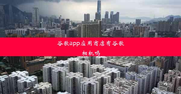 谷歌app应用商店有谷歌相机吗