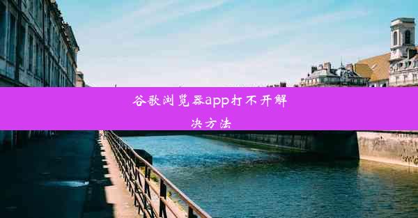 谷歌浏览器app打不开解决方法