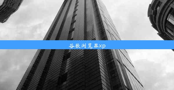 谷歌浏览器xp