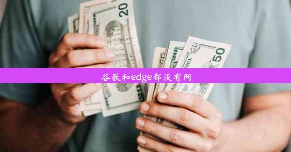 谷歌和edge都没有网