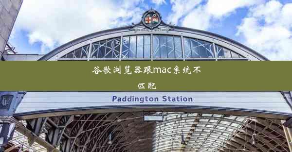 谷歌浏览器跟mac系统不匹配