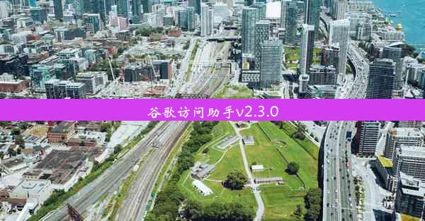 谷歌访问助手v2.3.0