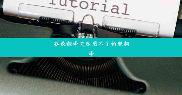 谷歌翻译突然用不了拍照翻译