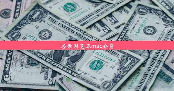 谷歌浏览器mac分身