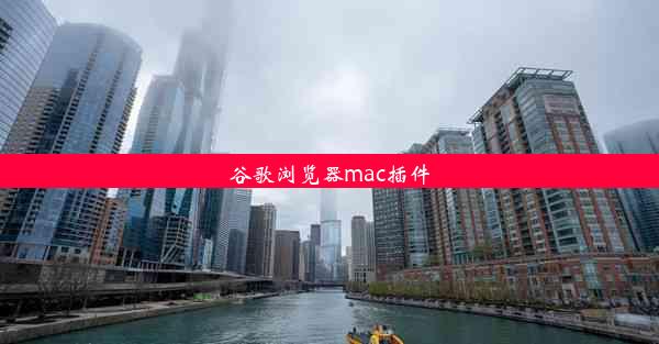 谷歌浏览器mac插件