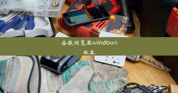 谷歌浏览器windows版本