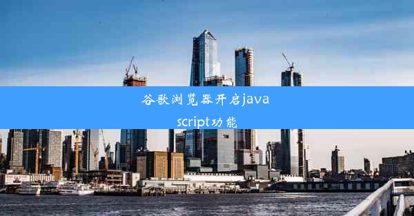 谷歌浏览器开启java script功能