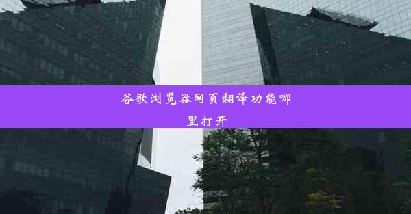 谷歌浏览器网页翻译功能哪里打开