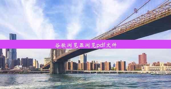 谷歌浏览器浏览pdf文件