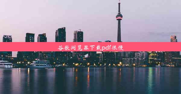 谷歌浏览器下载pdf很慢