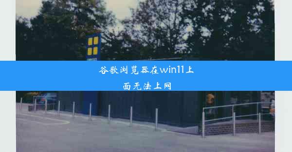 谷歌浏览器在win11上面无法上网