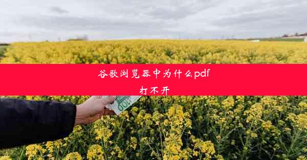 谷歌浏览器中为什么pdf打不开