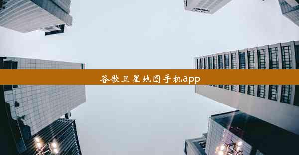 谷歌卫星地图手机app