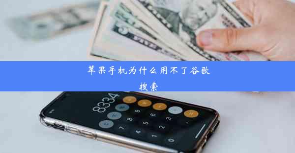 苹果手机为什么用不了谷歌搜索