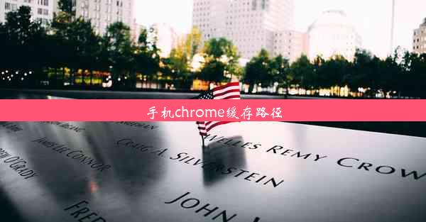 手机chrome缓存路径