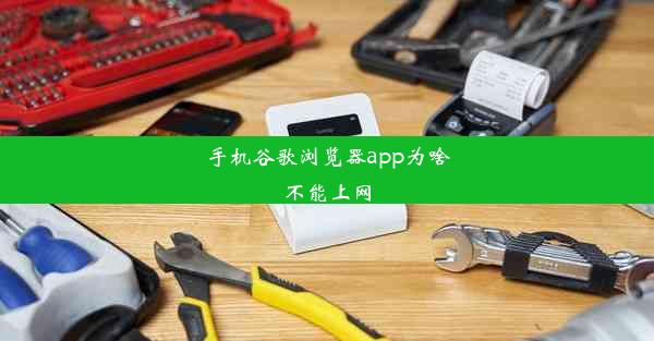 手机谷歌浏览器app为啥不能上网