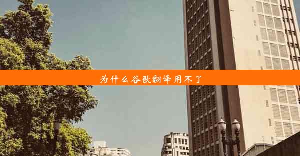 为什么谷歌翻译用不了