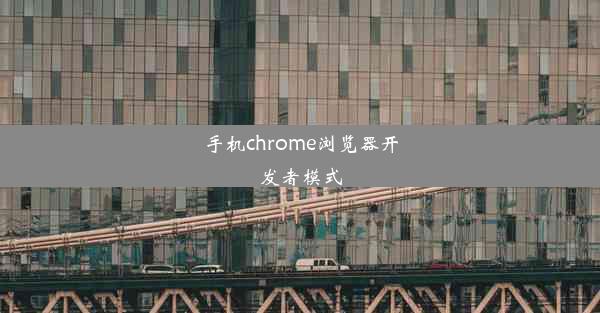 手机chrome浏览器开发者模式