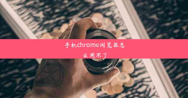 手机chrome浏览器怎么用不了