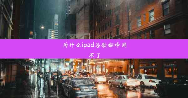 为什么ipad谷歌翻译用不了