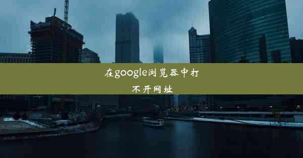 在google浏览器中打不开网址