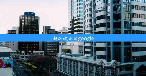 新加坡公司google