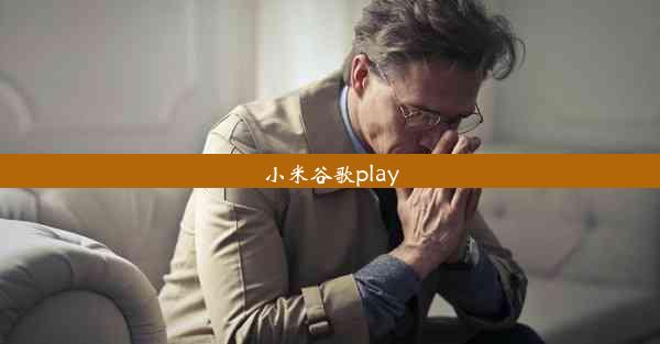 小米谷歌play