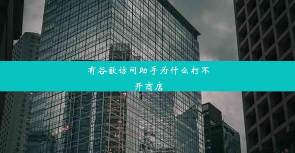 有谷歌访问助手为什么打不开商店