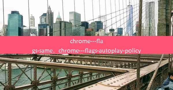 chrome---flags-same、chrome---flags-autoplay-policy